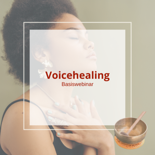 Voicehealing Basis